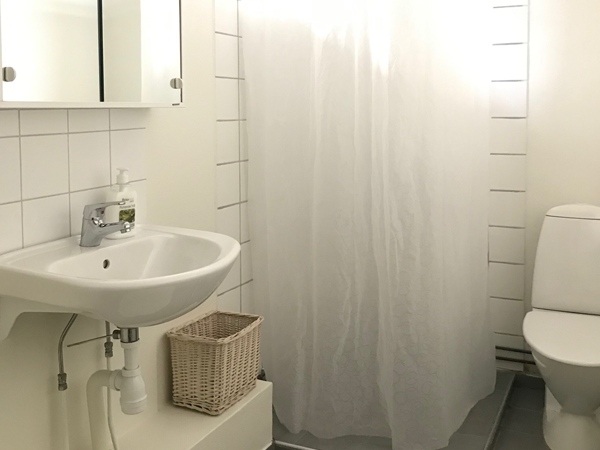 badrum med dusch, handfat och toalett